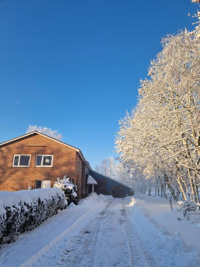 Ferienwohnung Sort Sol Grellsbuelldeich 7 Aventoft Bagian luar foto