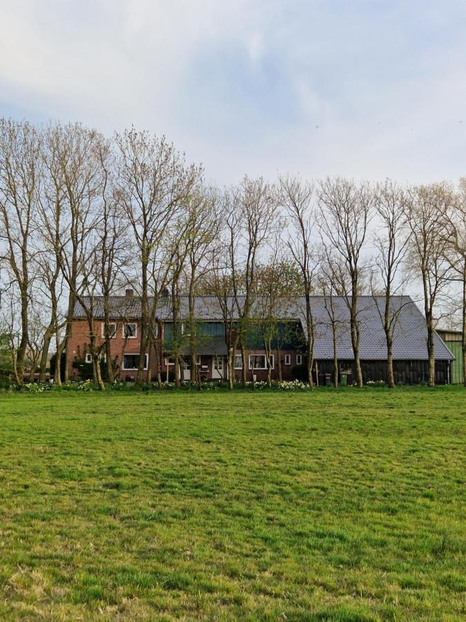 Ferienwohnung Sort Sol Grellsbuelldeich 7 Aventoft Bagian luar foto