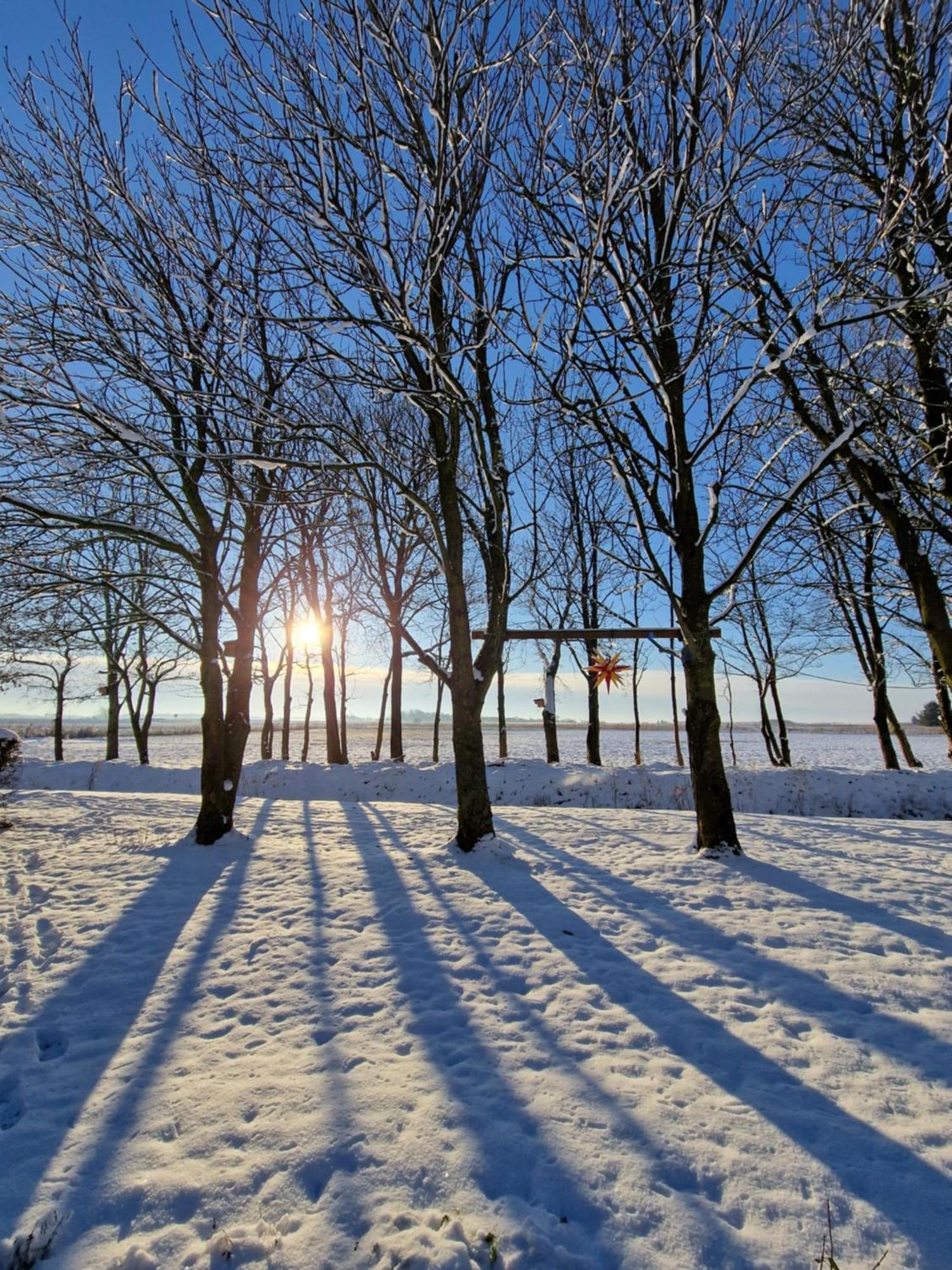 Ferienwohnung Sort Sol Grellsbuelldeich 7 Aventoft Bagian luar foto