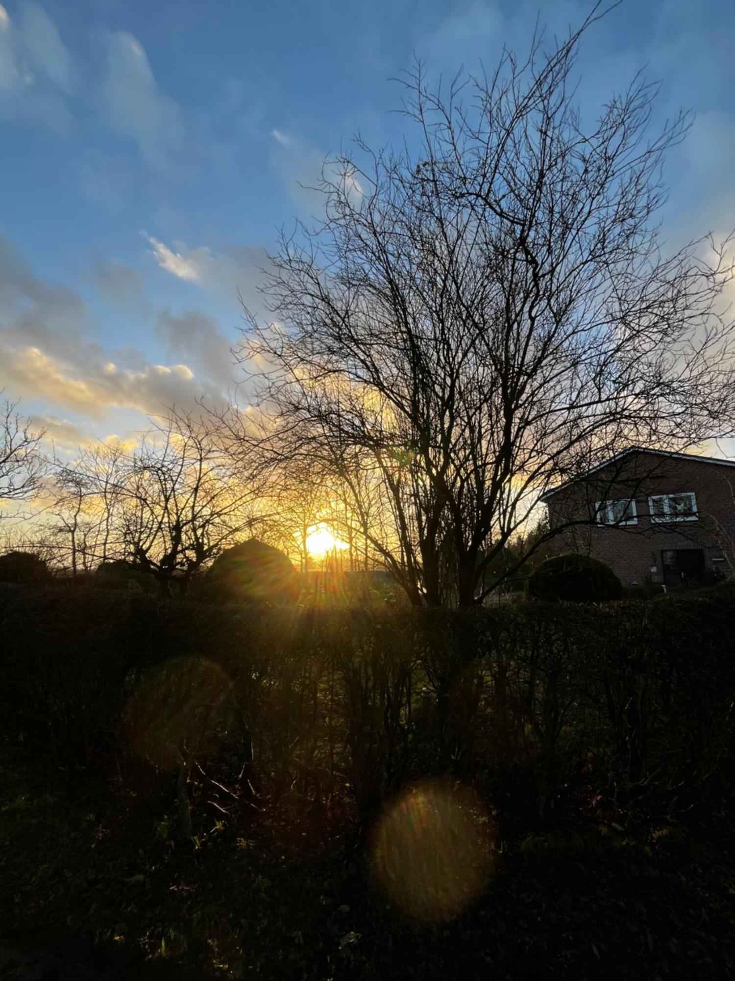 Ferienwohnung Sort Sol Grellsbuelldeich 7 Aventoft Bagian luar foto