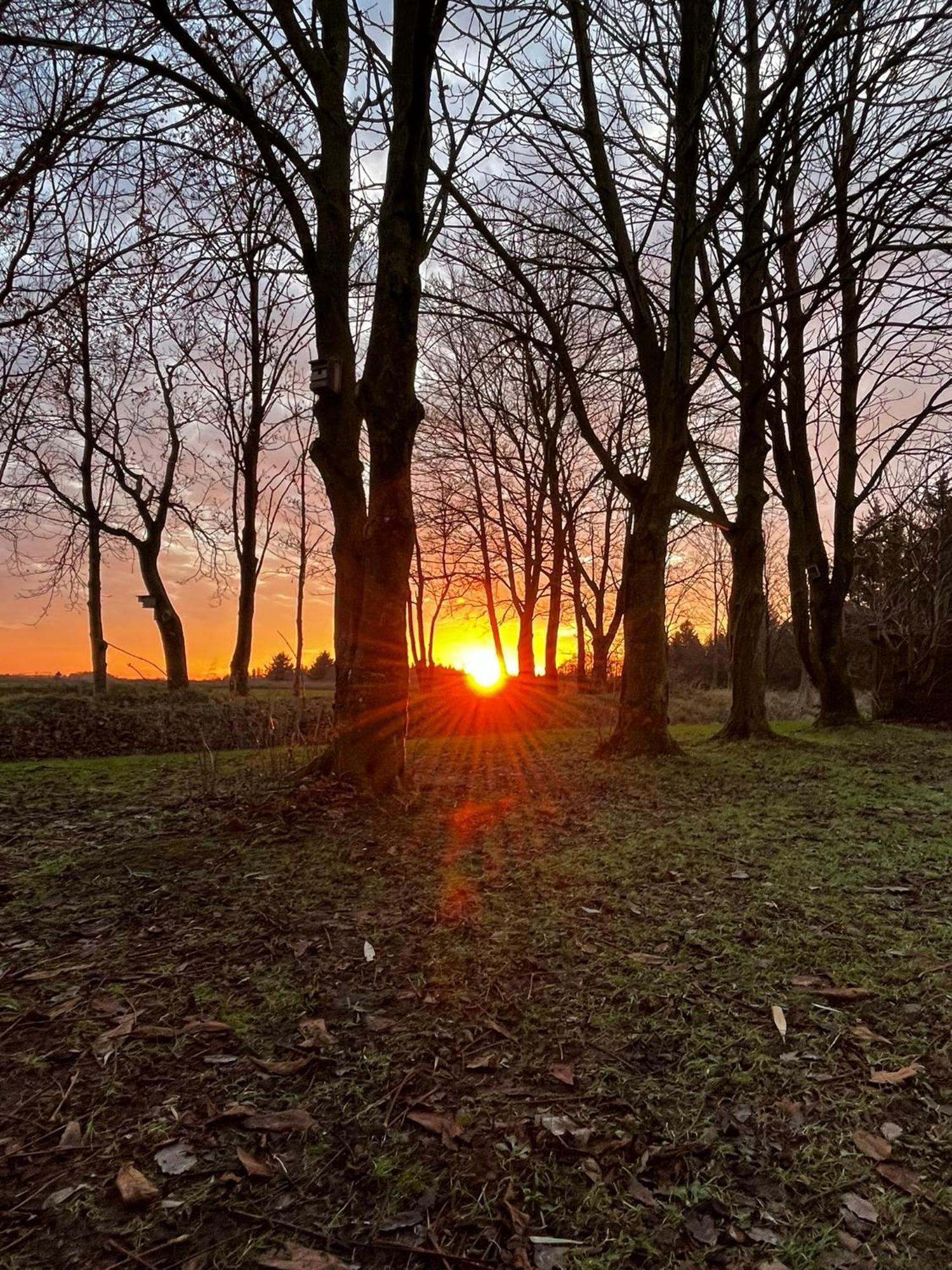 Ferienwohnung Sort Sol Grellsbuelldeich 7 Aventoft Bagian luar foto