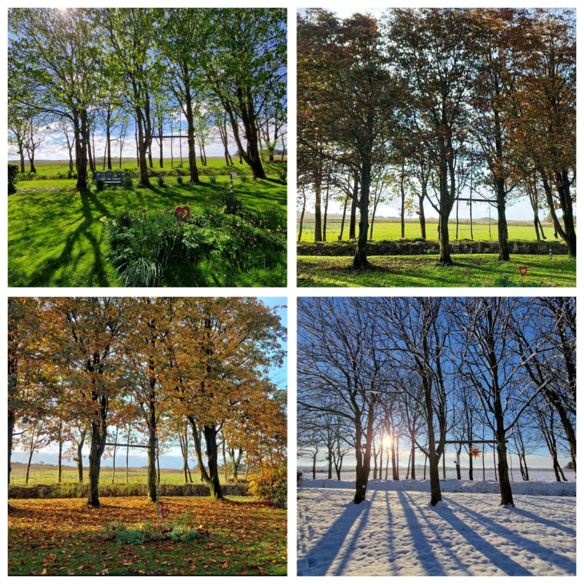 Ferienwohnung Sort Sol Grellsbuelldeich 7 Aventoft Bagian luar foto
