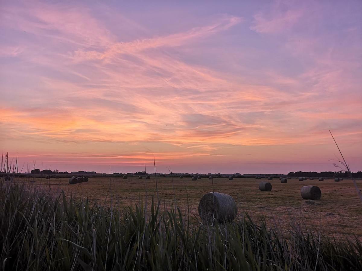 Ferienwohnung Sort Sol Grellsbuelldeich 7 Aventoft Bagian luar foto